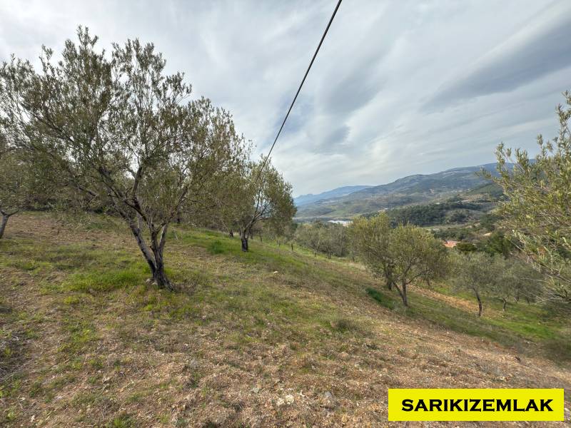 Havran Hallaçlar Mah`daZeytinlik. - 17